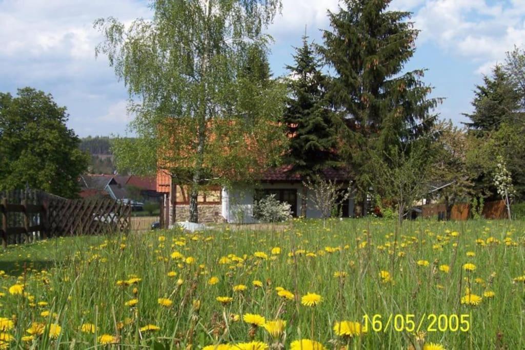 Ferienhaus Harz Villa Allrode Exterior photo